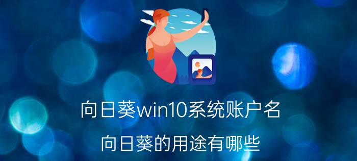 向日葵win10系统账户名 向日葵的用途有哪些？